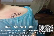 qq女人心演员表