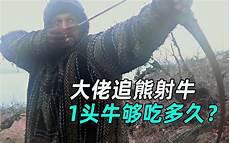 北极荒野独居100天完整版