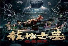 龙棺古墓西夏狼王墓烂片
