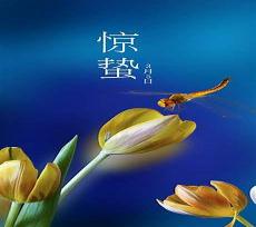 电视剧惊蛰在线观看2019