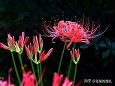 藏海花第二部完结版